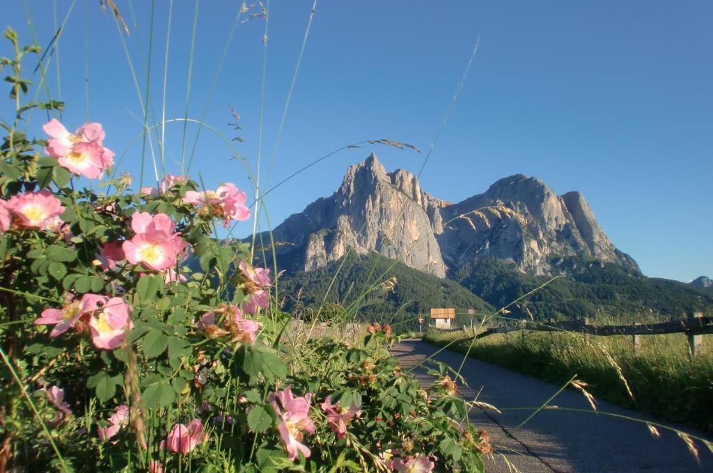 Hotel Viktoria Castelrotto Exteriér fotografie
